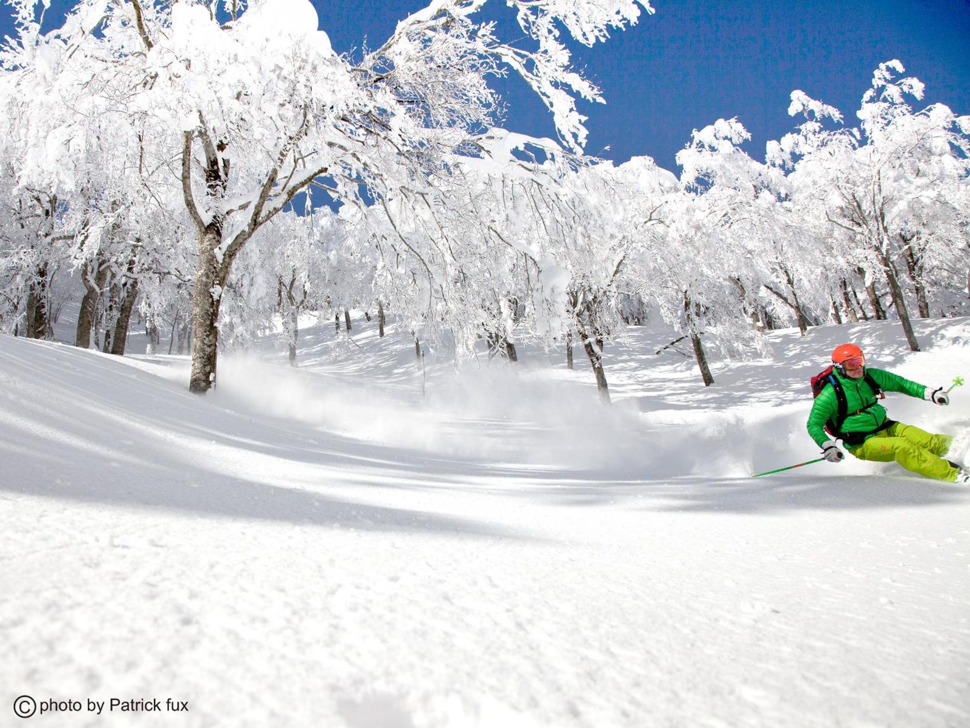 Hotel Green Plaza Hakuba Otari Exterior foto